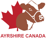 Code of Ethics - Ayrshire Canada