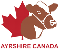 Ayrshire Canada